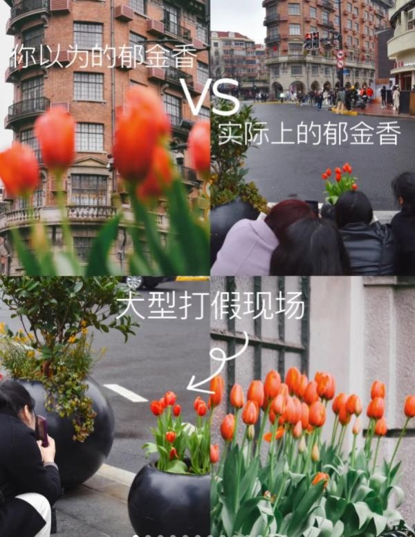 配查网 卷不动的年轻人，开始找个村子躺平了