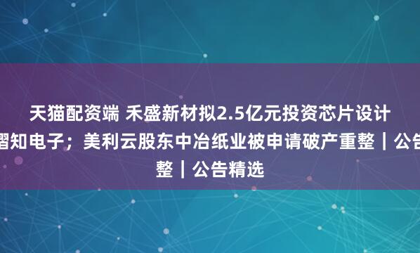 天猫配资端 禾盛新材拟2.5亿元投资芯片设计公司熠知电子；美利云股东中冶纸业被申请破产重整｜公告精选