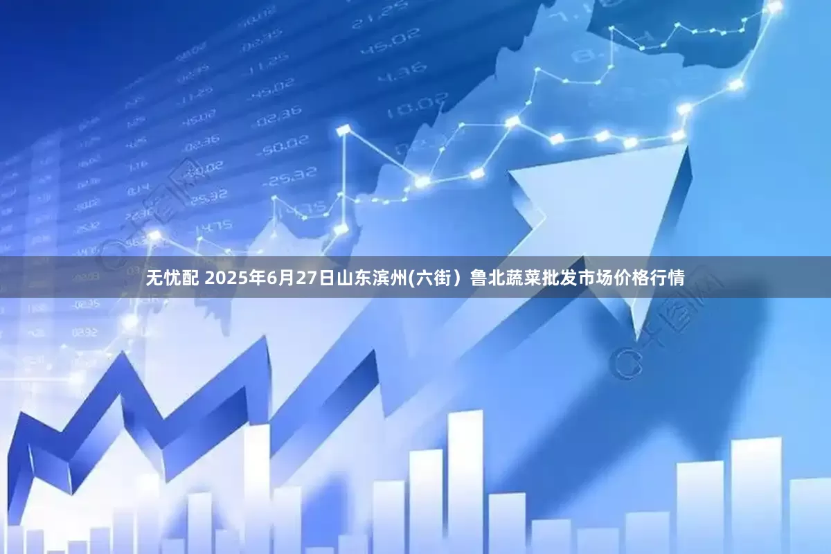 无忧配 2025年6月27日山东滨州(六街)鲁北蔬菜批发市场价格行情