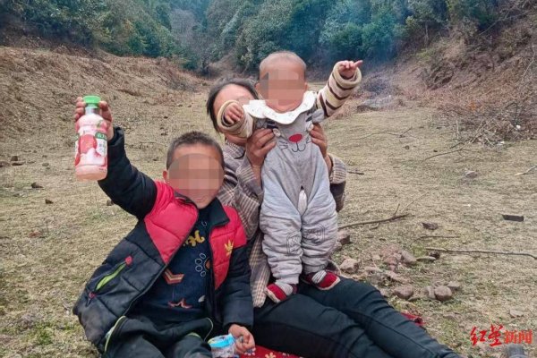 金富宝 7岁哥哥和2岁妹妹遭蜂群蜇数百次身亡，养蜂人涉过失致人死亡罪被立案，孩子父亲发声