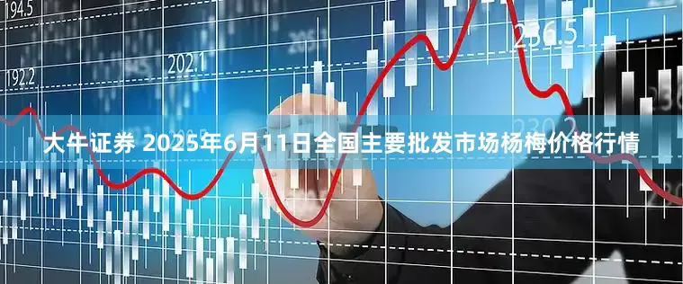 大牛证券 2025年6月11日全国主要批发市场杨梅价格行情